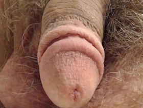 Cocks